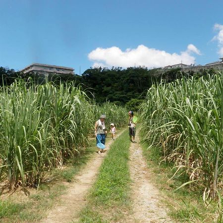 Okinawa Hostel Yanbaru Fukuro Nago Εξωτερικό φωτογραφία