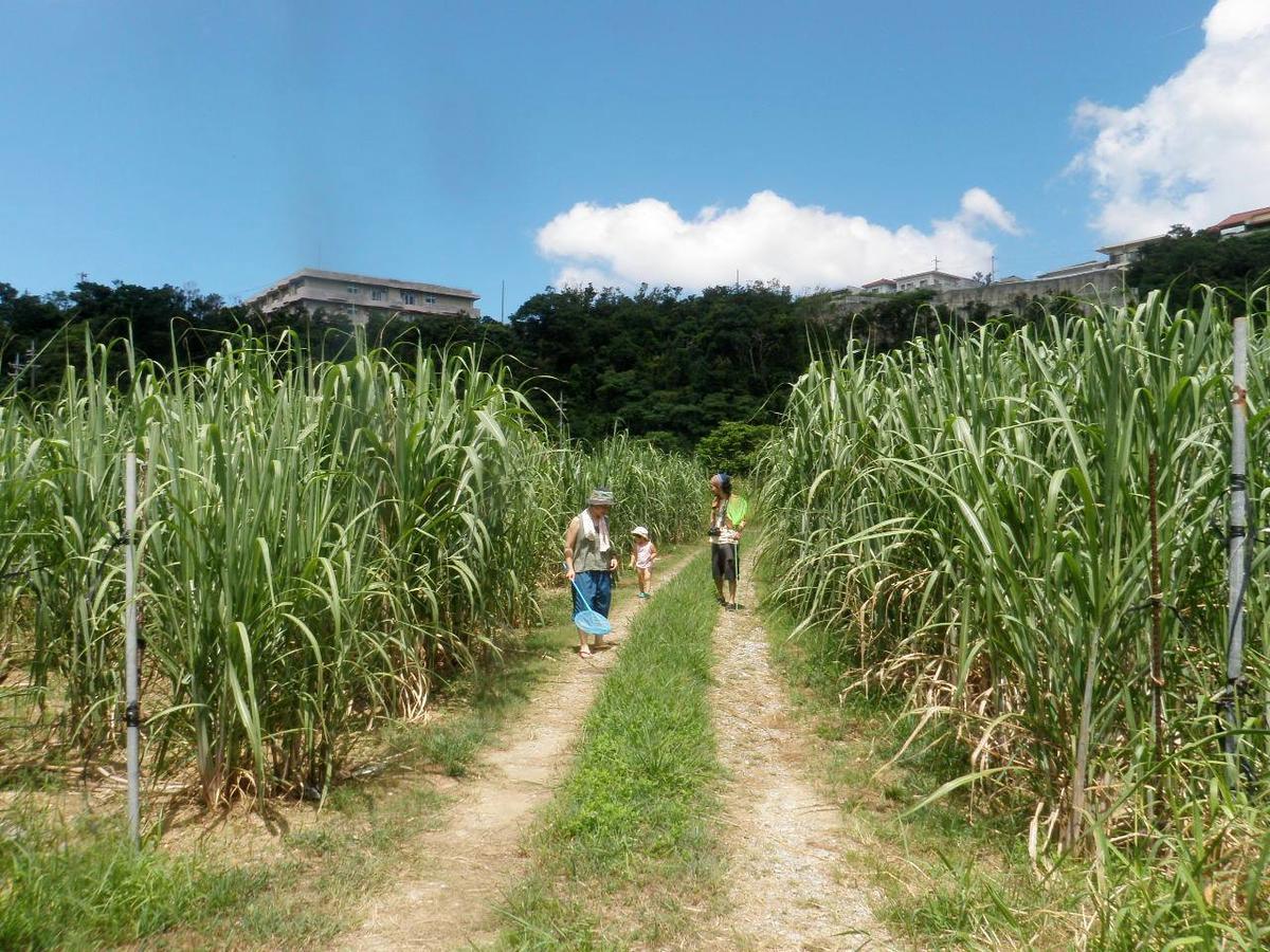 Okinawa Hostel Yanbaru Fukuro Nago Εξωτερικό φωτογραφία